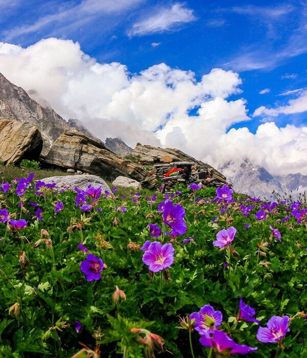 uttarakhand-tour