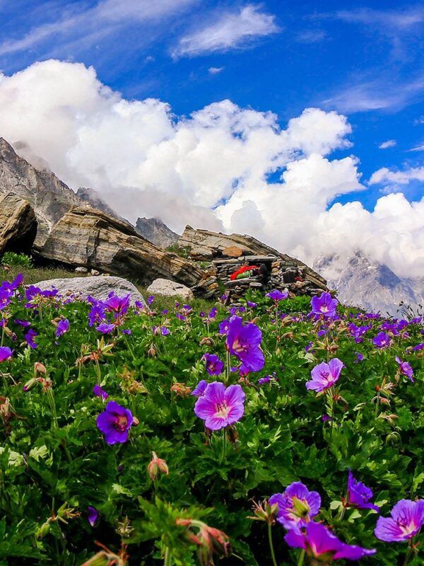 uttarakhand-tour